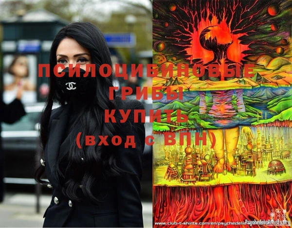 гашик Балахна