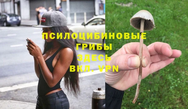 гашик Балахна